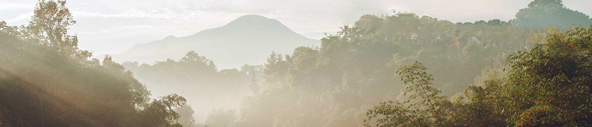 Mist hangs over river and trees with mountain in background